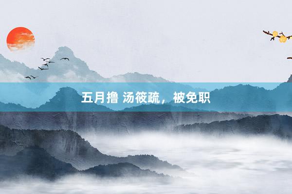 五月撸 汤筱疏，被免职