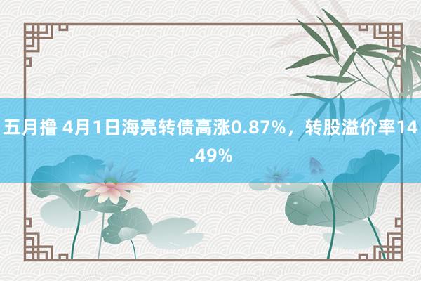 五月撸 4月1日海亮转债高涨0.87%，转股溢价率14.49%