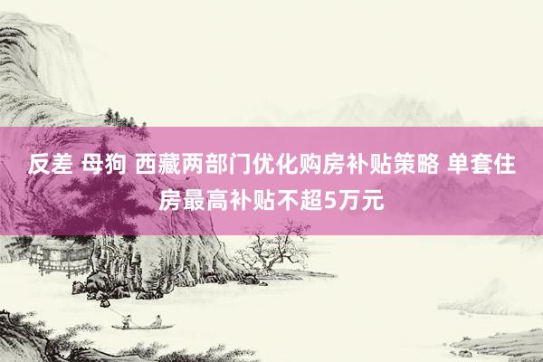 反差 母狗 西藏两部门优化购房补贴策略 单套住房最高补贴不超5万元