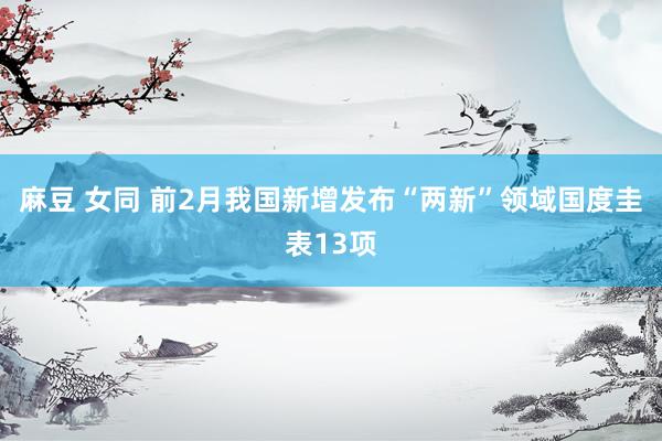 麻豆 女同 前2月我国新增发布“两新”领域国度圭表13项