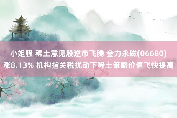 小姐骚 稀土意见股逆市飞腾 金力永磁(06680)涨8.13% 机构指关税扰动下稀土策略价值飞快提高
