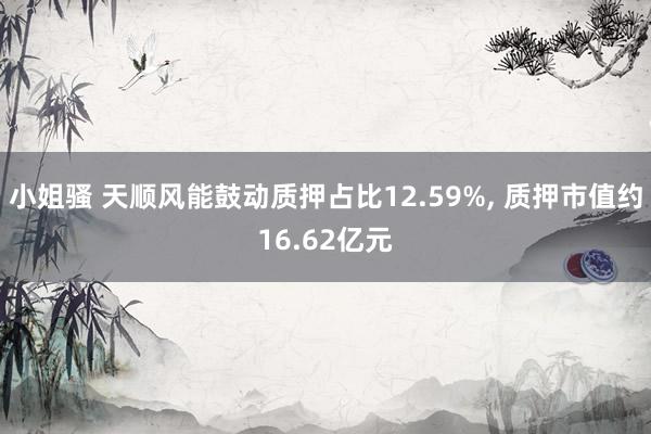 小姐骚 天顺风能鼓动质押占比12.59%， 质押市值约16.62亿元