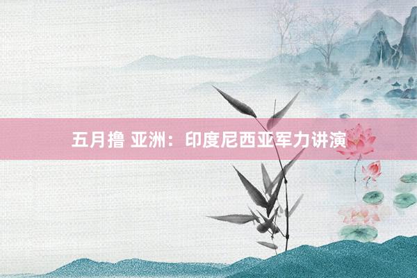 五月撸 亚洲：印度尼西亚军力讲演
