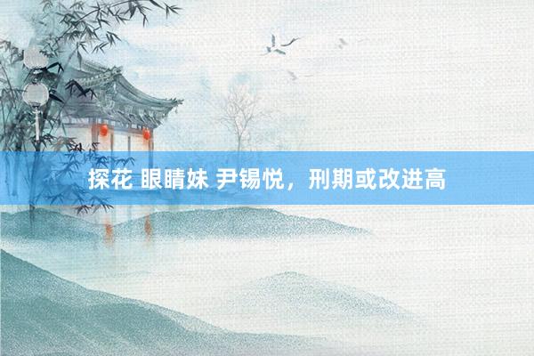 探花 眼睛妹 尹锡悦，刑期或改进高