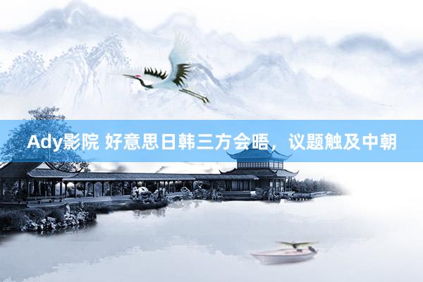 Ady影院 好意思日韩三方会晤，议题触及中朝
