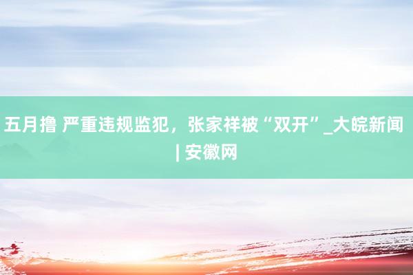五月撸 严重违规监犯，张家祥被“双开”_大皖新闻 | 安徽网