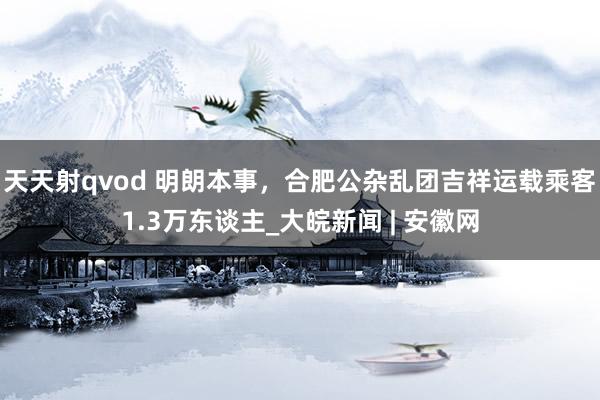 天天射qvod 明朗本事，合肥公杂乱团吉祥运载乘客1.3万东谈主_大皖新闻 | 安徽网