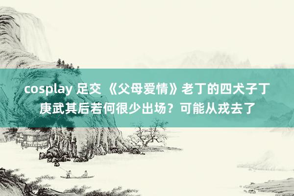 cosplay 足交 《父母爱情》老丁的四犬子丁庚武其后若何很少出场？可能从戎去了