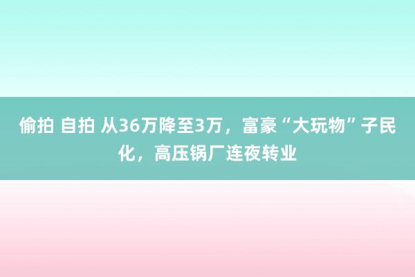 偷拍 自拍 从36万降至3万，富豪“大玩物”子民化，高压锅厂连夜转业