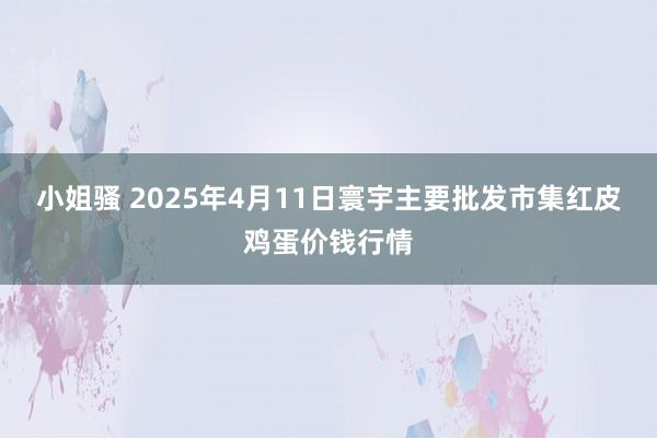 小姐骚 2025年4月11日寰宇主要批发市集红皮鸡蛋价钱行情