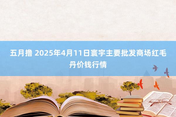 五月撸 2025年4月11日寰宇主要批发商场红毛丹价钱行情