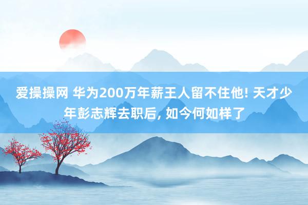 爱操操网 华为200万年薪王人留不住他! 天才少年彭志辉去职后， 如今何如样了