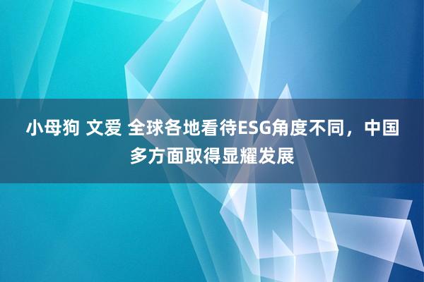 小母狗 文爱 全球各地看待ESG角度不同，中国多方面取得显耀发展