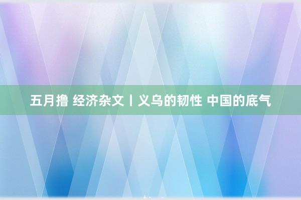 五月撸 经济杂文丨义乌的韧性 中国的底气