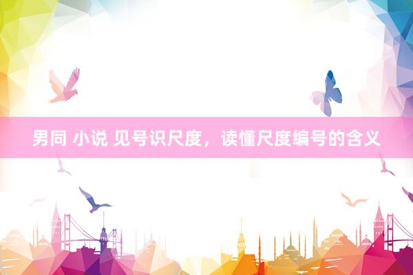男同 小说 见号识尺度，读懂尺度编号的含义