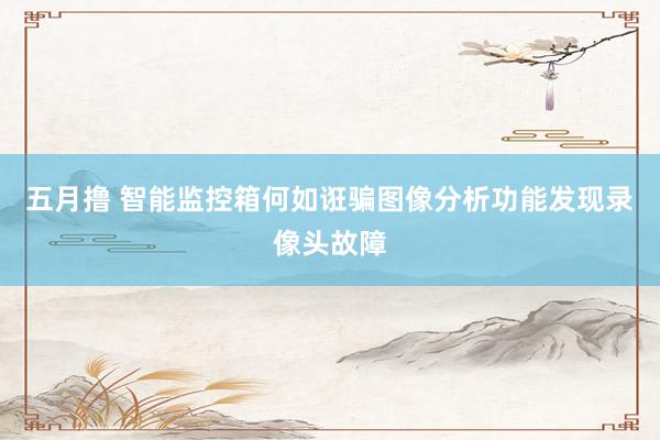五月撸 智能监控箱何如诳骗图像分析功能发现录像头故障