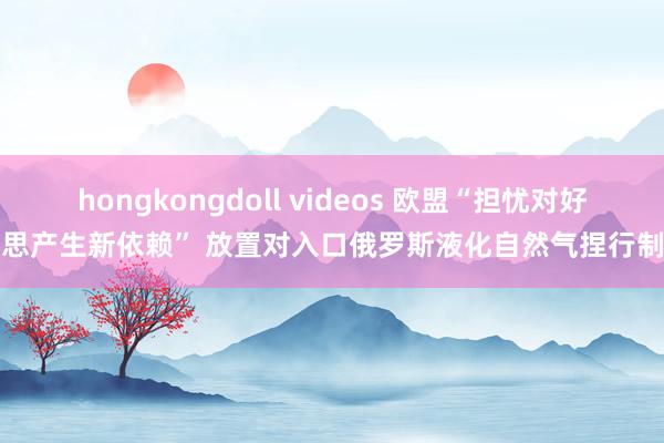 hongkongdoll videos 欧盟“担忧对好意思产生新依赖” 放置对入口俄罗斯液化自然气捏行制裁
