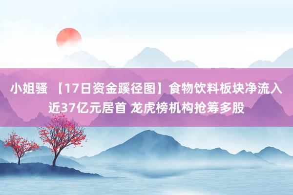 小姐骚 【17日资金蹊径图】食物饮料板块净流入近37亿元居首 龙虎榜机构抢筹多股