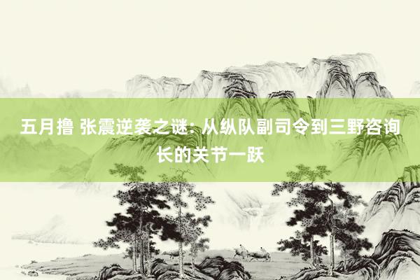 五月撸 张震逆袭之谜: 从纵队副司令到三野咨询长的关节一跃