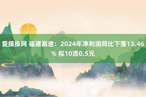 爱操操网 福建高速：2024年净利润同比下落13.46% 拟10派0.5元