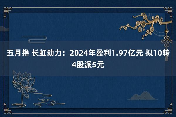 五月撸 长虹动力：2024年盈利1.97亿元 拟10转4股派5元