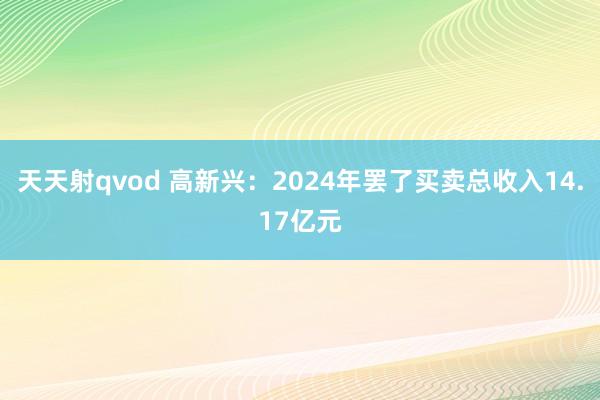 天天射qvod 高新兴：2024年罢了买卖总收入14.17亿元