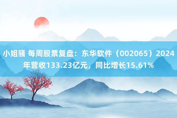 小姐骚 每周股票复盘：东华软件（002065）2024年营收133.23亿元，同比增长15.61%