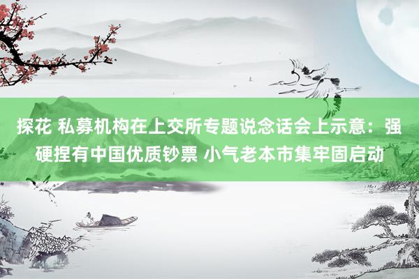 探花 私募机构在上交所专题说念话会上示意：强硬捏有中国优质钞票 小气老本市集牢固启动