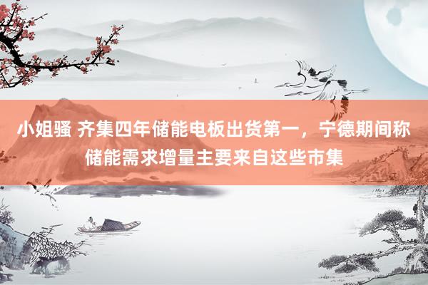 小姐骚 齐集四年储能电板出货第一，宁德期间称储能需求增量主要来自这些市集