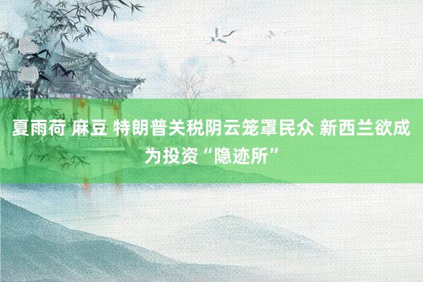 夏雨荷 麻豆 特朗普关税阴云笼罩民众 新西兰欲成为投资“隐迹所”