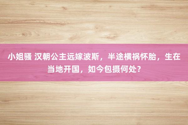 小姐骚 汉朝公主远嫁波斯，半途横祸怀胎，生在当地开国，如今包摄何处？