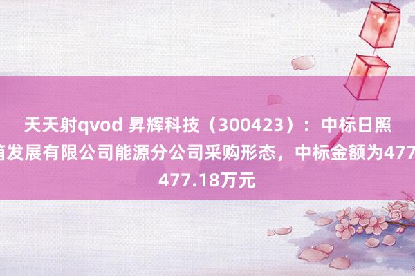 天天射qvod 昇辉科技（300423）：中标日照港集装箱发展有限公司能源分公司采购形态，中标金额为477.18万元