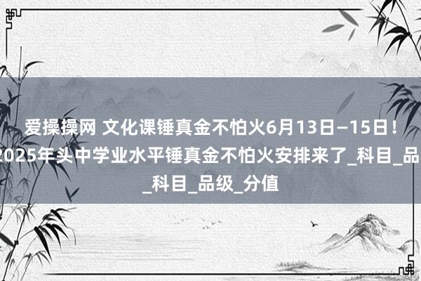 爱操操网 文化课锤真金不怕火6月13日—15日！泰安市2025年头中学业水平锤真金不怕火安排来了_科目_品级_分值