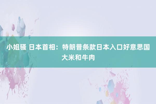 小姐骚 日本首相：特朗普条款日本入口好意思国大米和牛肉
