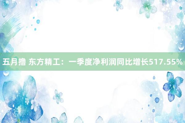五月撸 东方精工：一季度净利润同比增长517.55%