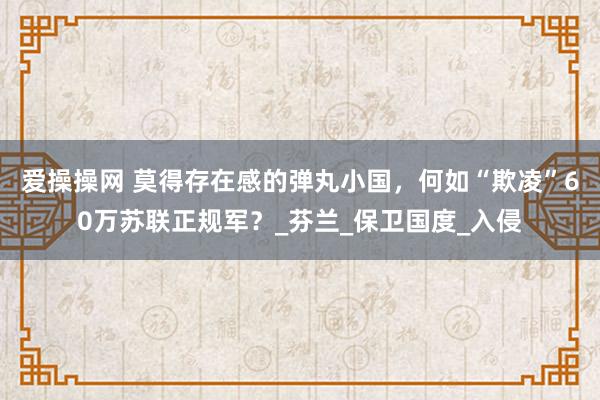 爱操操网 莫得存在感的弹丸小国，何如“欺凌”60万苏联正规军？_芬兰_保卫国度_入侵