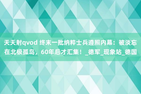天天射qvod 终末一批纳粹士兵遵照内幕：被淡忘在北极孤岛，60年后才汇集！_德军_现象站_德国
