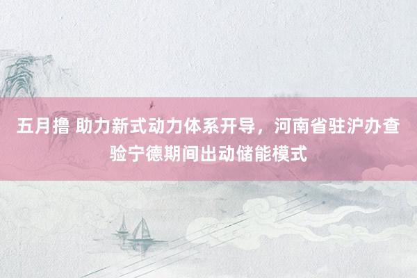 五月撸 助力新式动力体系开导，河南省驻沪办查验宁德期间出动储能模式