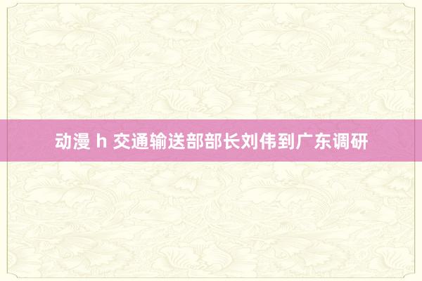 动漫 h 交通输送部部长刘伟到广东调研