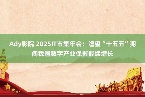 Ady影院 2025IT市集年会：瞻望“十五五”期间我国数字产业保握握续增长