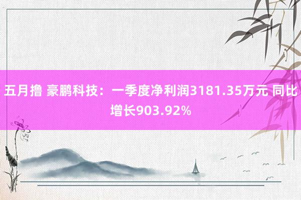 五月撸 豪鹏科技：一季度净利润3181.35万元 同比增长903.92%
